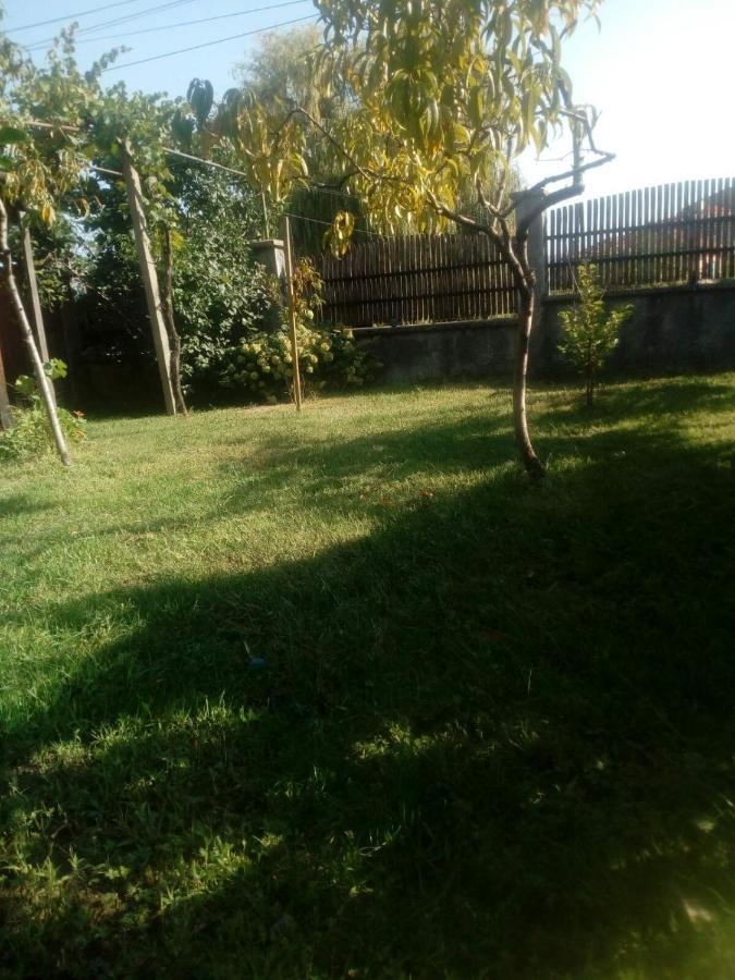 Къща За Гости Ягода Sapareva Banya Exterior foto